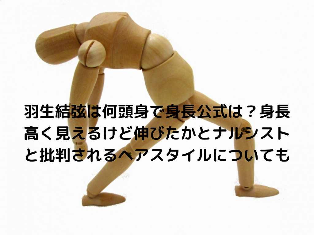 hanyusintyou